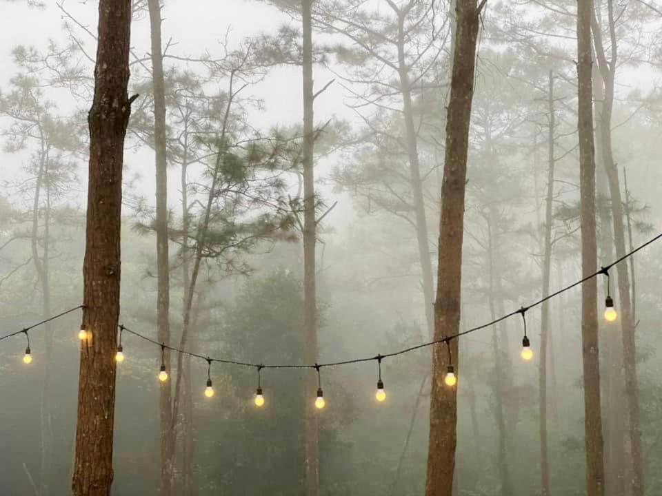 Phòng Giường Đôi Nhìn Ra Vườn