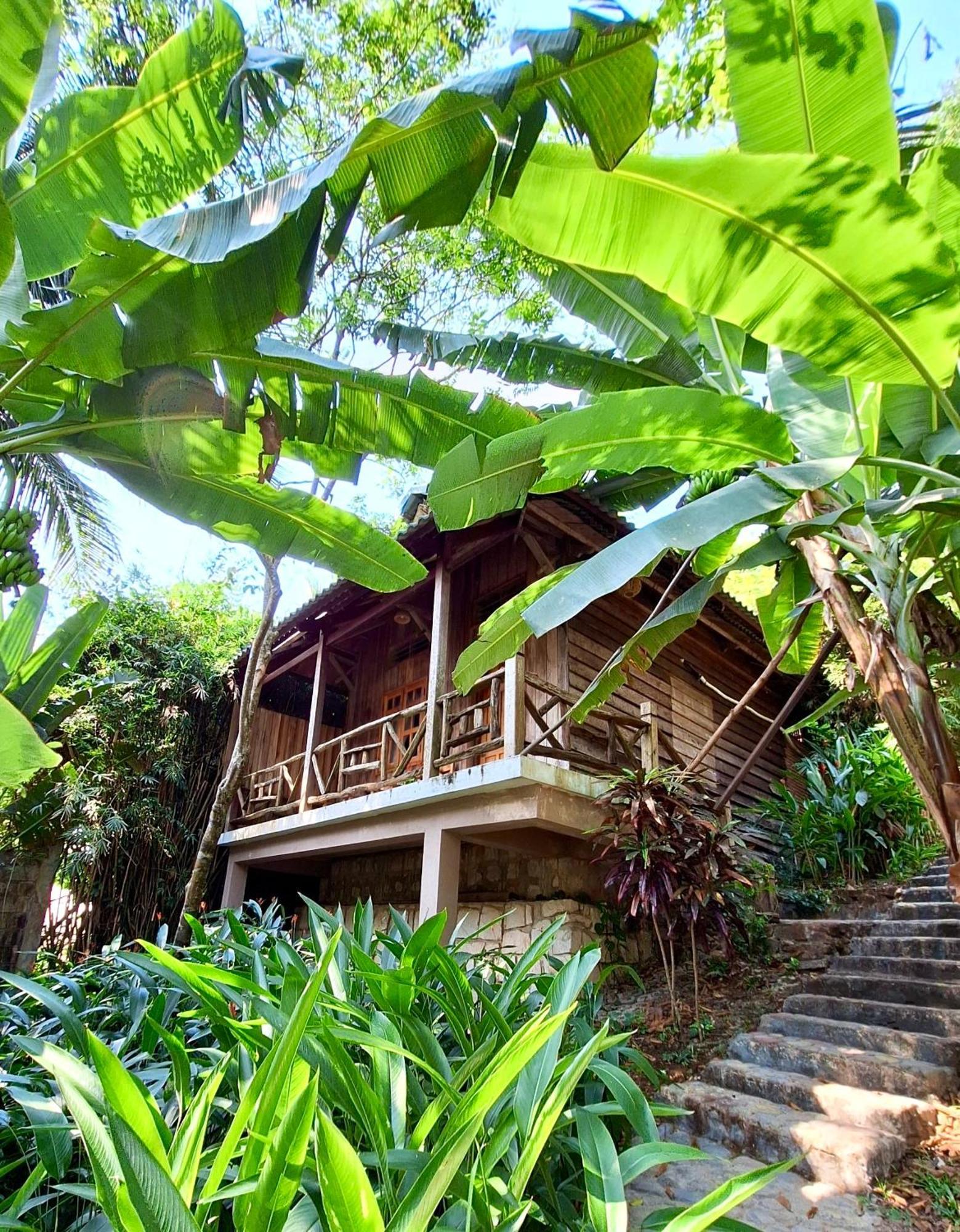 Bungalow with Garden View
