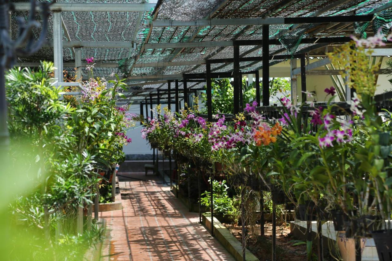 Bungalow (3 Người lớn) với Bữa sáng và Dịch vụ Vận chuyển Sân bay 2 chiều