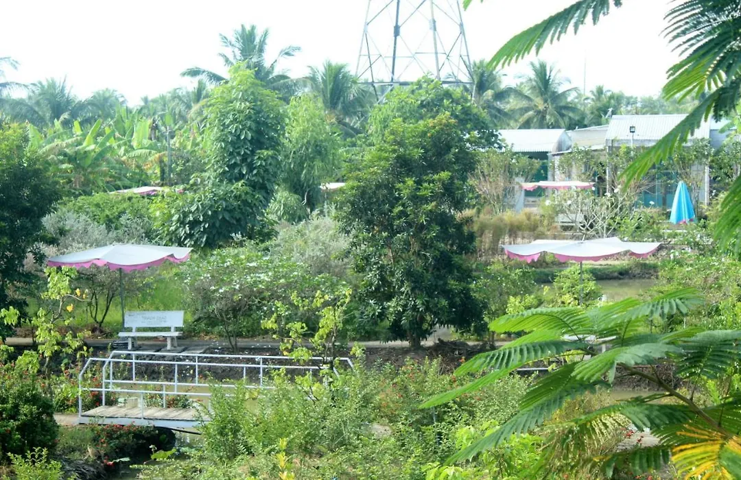 Thạch Thảo Homestay-1