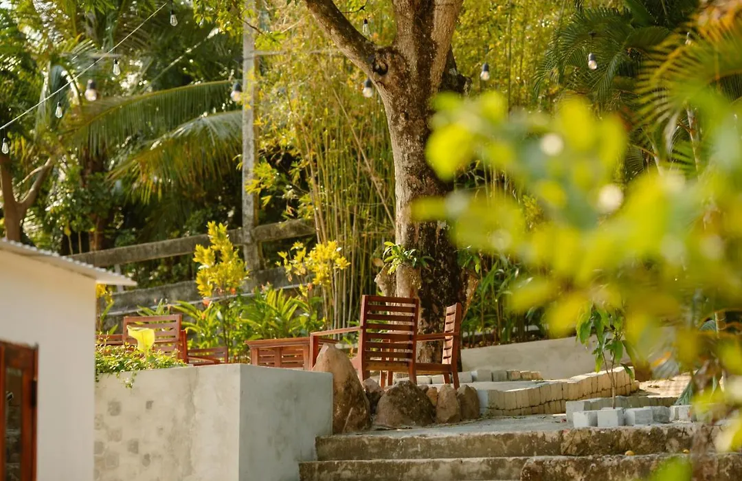 The Vibe House - Chillout Hostel-1