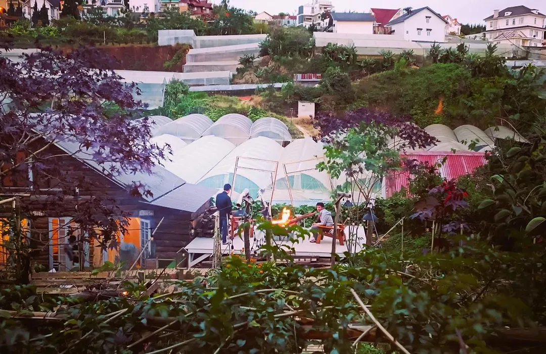 The Burrow Dalat-1