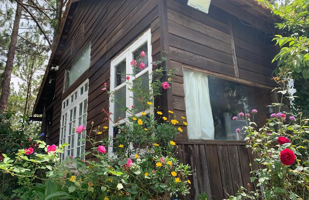 Romantic House On A Pine Hill Dalat-1