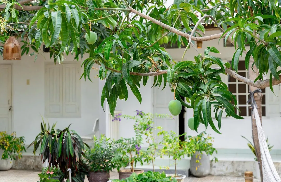 Binhyen Homestay-1