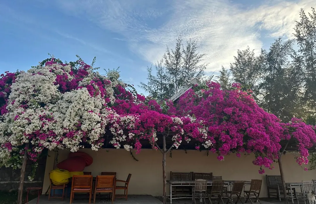 Orchid Boutique Beach Resort-1