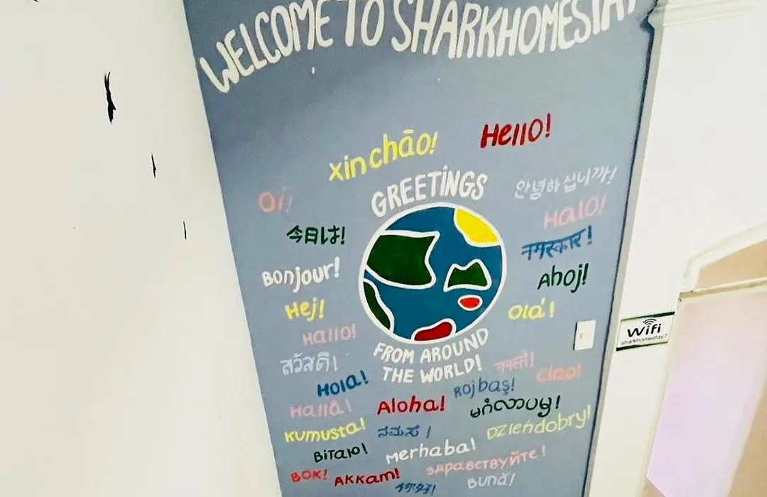 Shark Homestay-1