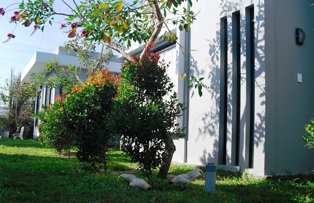 Van Nguyen Minihouse-1