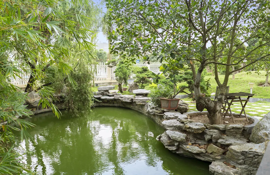 Phuong Anh Hotel-1