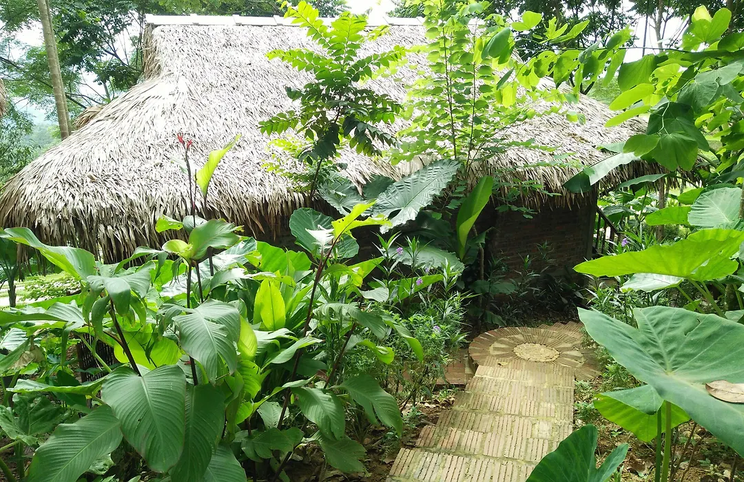 Puluong Home-1