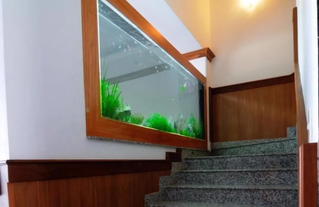 Sammy Hotel Ha Tien-1