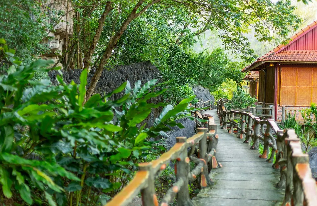 Lotus Field Homestay-1