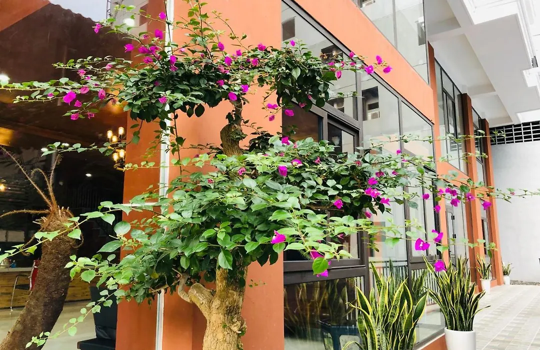 Cocoon Inn Cat Ba-1