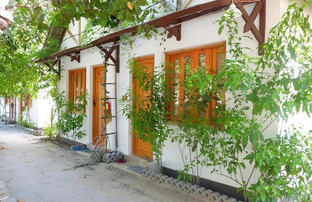 Dao Hoa Vang Villa-1