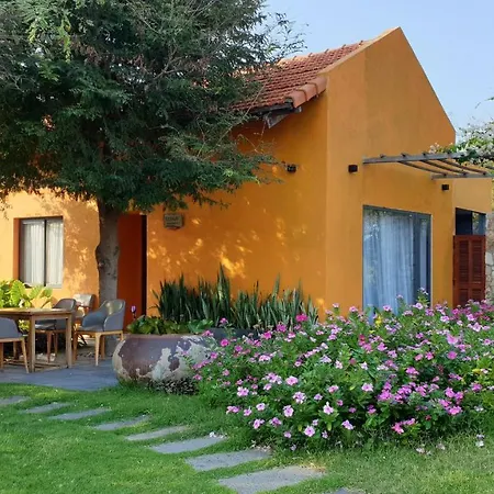 Lotus Beach House-2