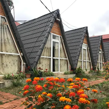 Homestay Bình Huy-3