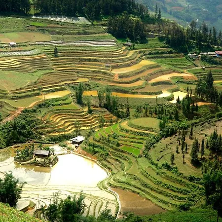 Nobita Homestay bắc hà-2