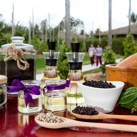 Fusion Resort Phu Quoc - All Spa Inclusive-2