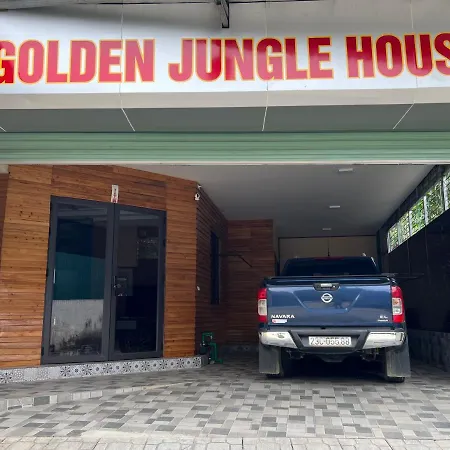 The Art - Nhà Golden Jungle-3