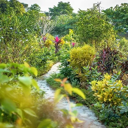 Hồ Đá Cổ Thiên Long Resort-3