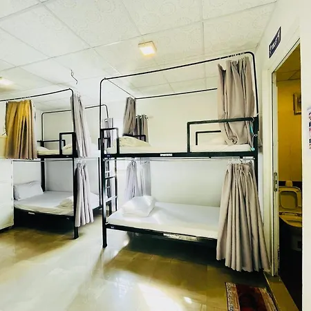Shark Hostel-3