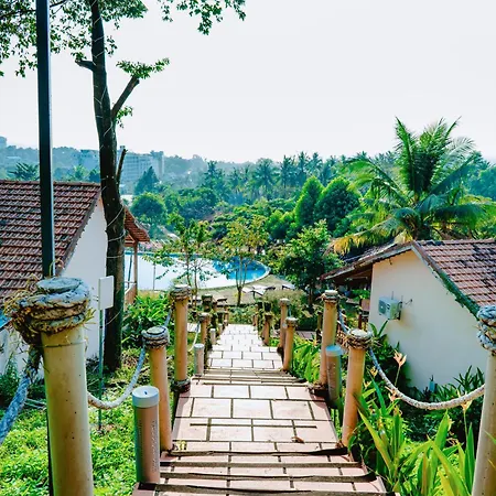 Daisy Resort-2