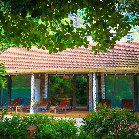 Green Mountain Homestay-2