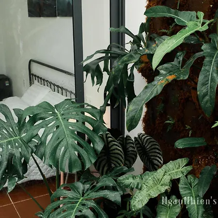 Ngaunhien'S House - Homestay-2