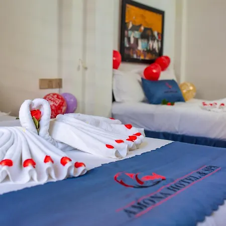 Amona Hotel-2