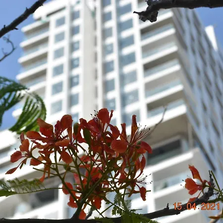 Apec Mandala Condotel Sea View Phú Yên-2
