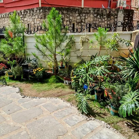 Wasabi House - Phương Anh Homestay-2