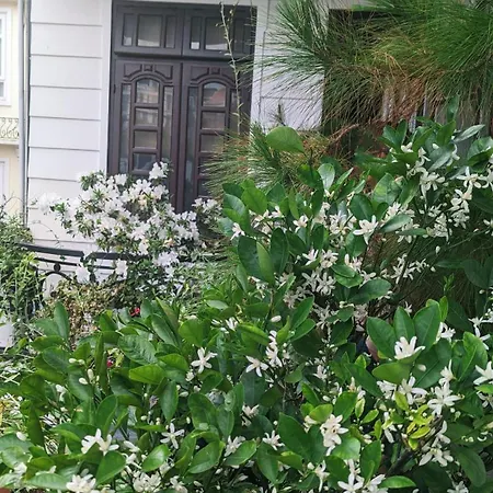 Wasabi House - Phương Anh Homestay-3