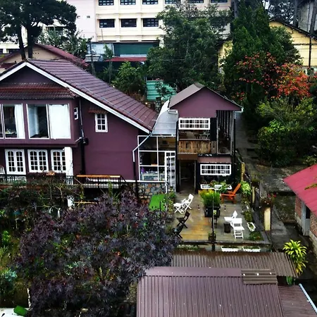 The Burrow Dalat-3