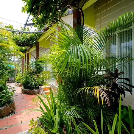 Bungalow Mai Phuong Binh-3