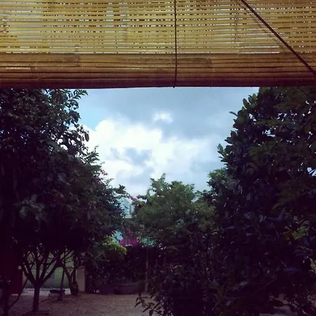 Draco - Thang Long Hotel-3