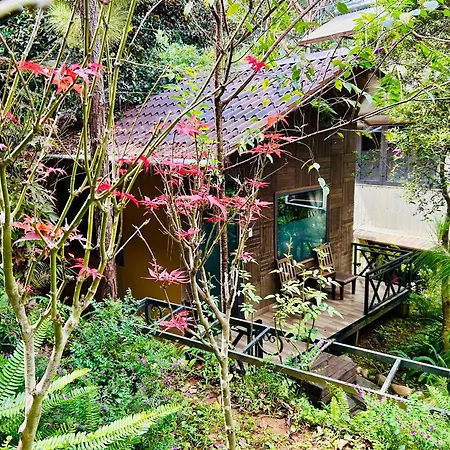 Bazan Home - Hotel & Bungalow-2