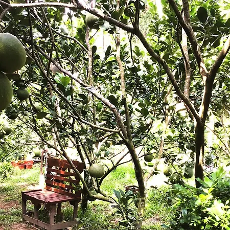 Ben Tre Farm Stay-3