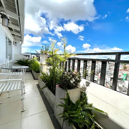 Tulip Hotel 3-2