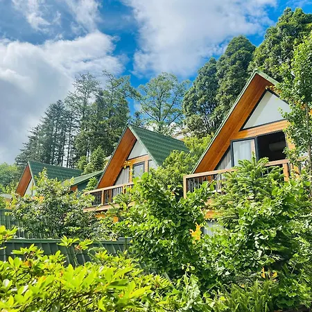 Sapa Pine Hill Eco Lodge-3