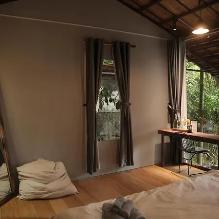 Cat Homestay-2