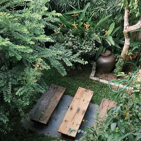 Cat Homestay-3
