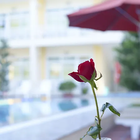 Lam Ha Hotel-2