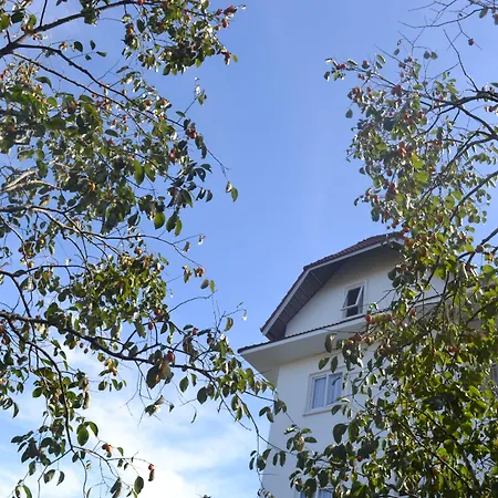 Hong Mon Villa-2
