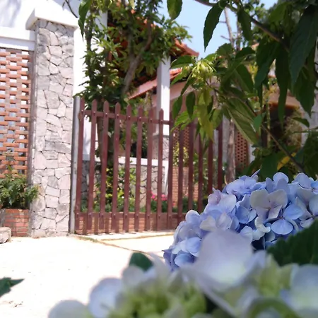 Miana Resort Phu Quoc-2
