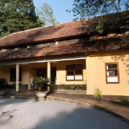 Forest Floor Lodge-3
