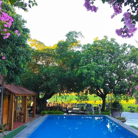 Tam Coc Sunshine Homestay-3