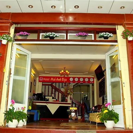 Mai Anh Dao Hotel-3