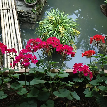 Stone Garden Homestay-2