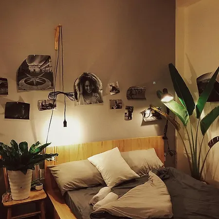 Cosy House Da Lat 1-2