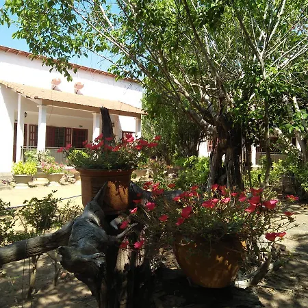 Long Chau Resort-3