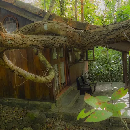 Forest Floor Lodge-2